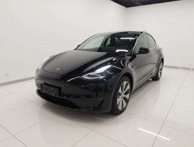 Tesla Model Y 2022 car image 