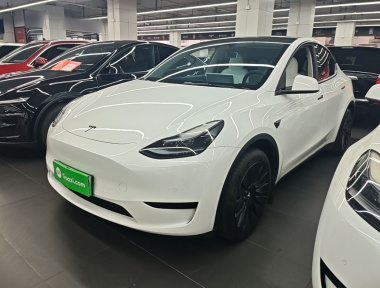Tesla Model Y 2023 car image 