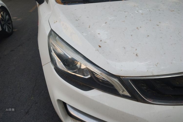 GEELY Emgrand GS 2016 #8 GEELY Emgrand GS 2016 immagine di auto #8