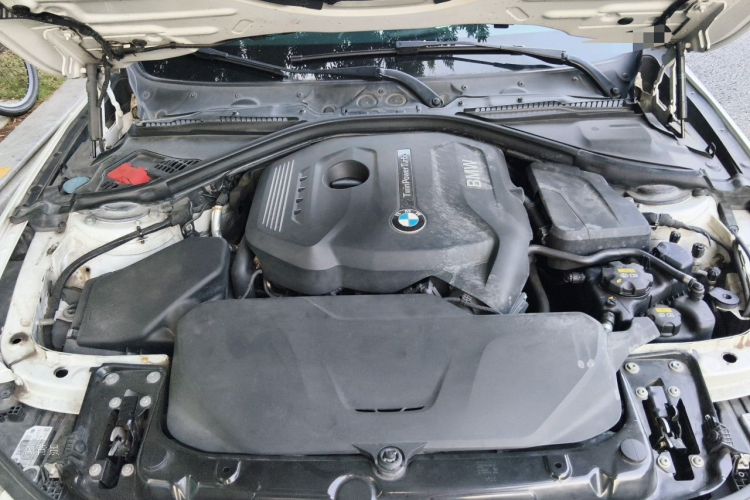 BMW 3 Series 2017 #22 BMW 3 Series 2017 immagine di auto #22