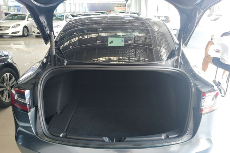Tesla Model 3 2021 #21 Tesla Model 3 2021 immagine di auto #21