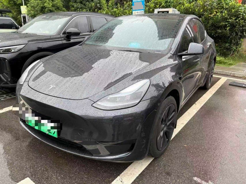 Tesla Model Y 2024 Tesla Model Y 2024 car image