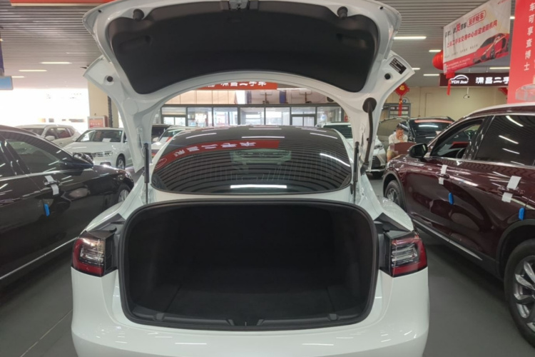 Tesla Model 3 2020 #19 Tesla Model 3 2020 car image #19