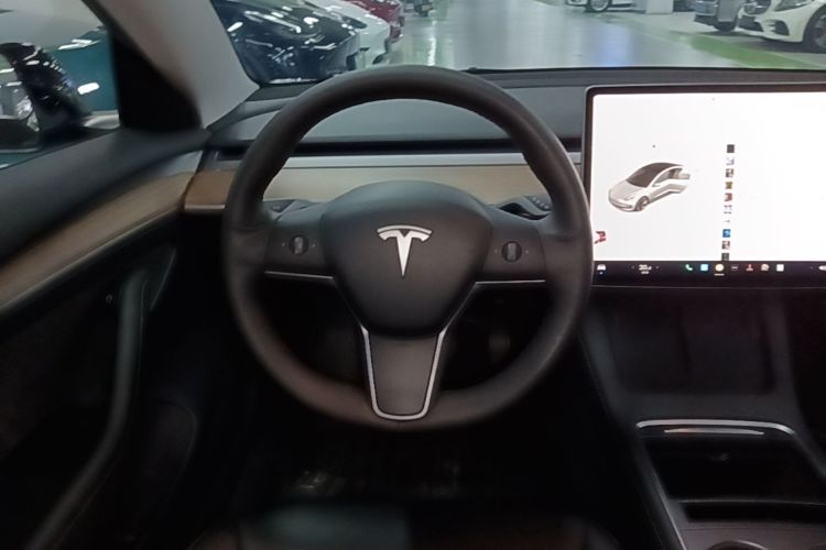Tesla Model 3 2021 car image #11