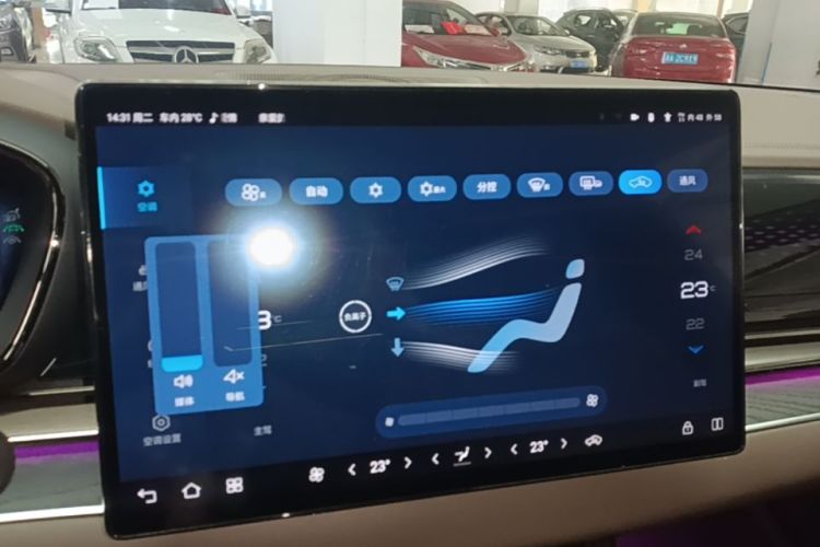 BYD Han 2022 #13 BYD Han 2022 immagine di auto #13