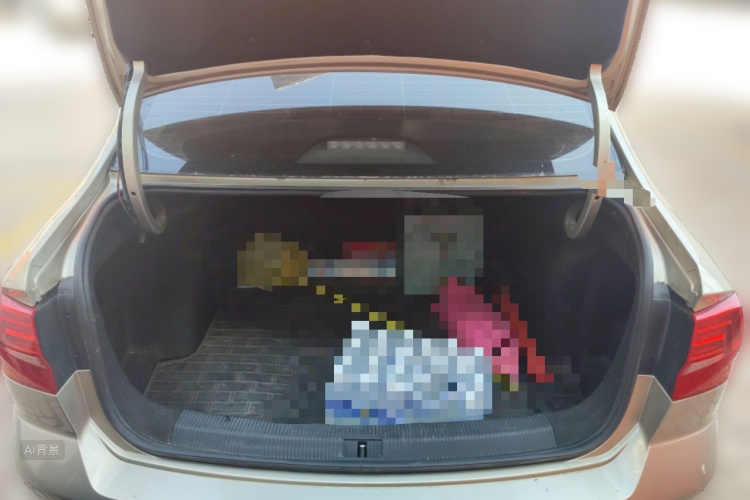 Volkswagen Bora 2018 immagine di auto #21