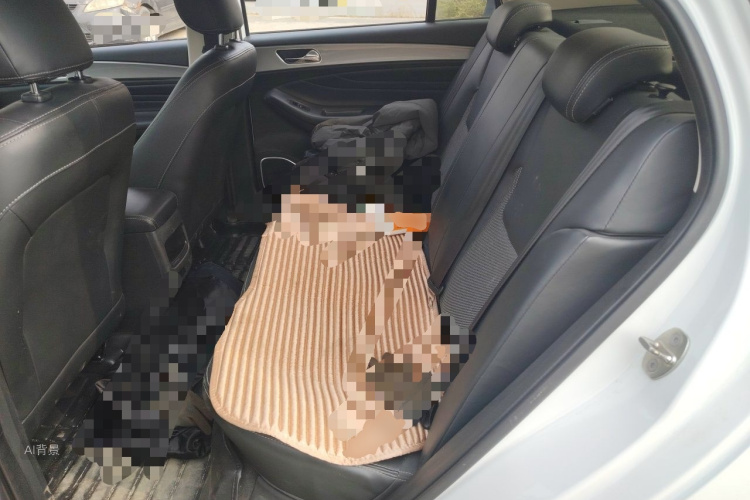Chery Arrizo 5 2019 car image #19