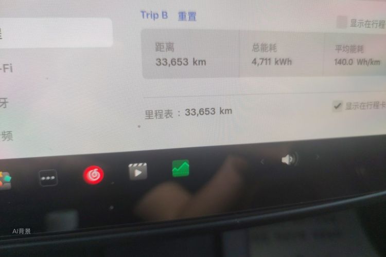 Tesla Model 3 2021 car image #14