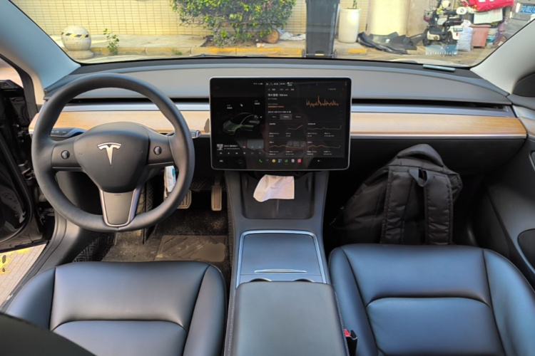 Tesla Model 3 2021 #11 Tesla Model 3 2021 car image #11