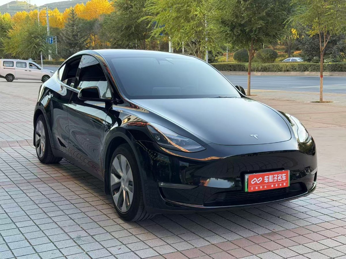 Tesla Model Y 2022 car image #4