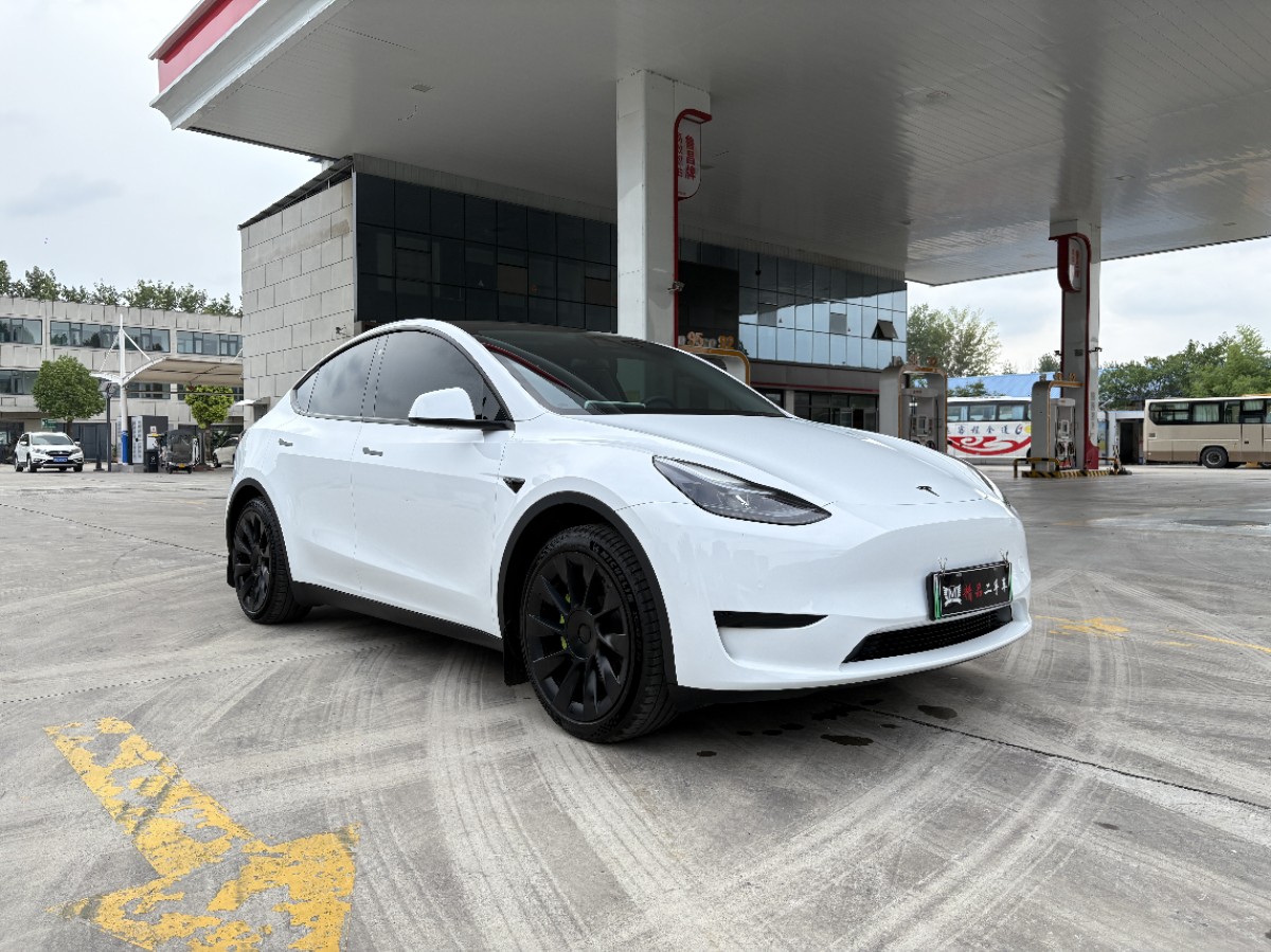 Tesla Model Y 2023 car image 