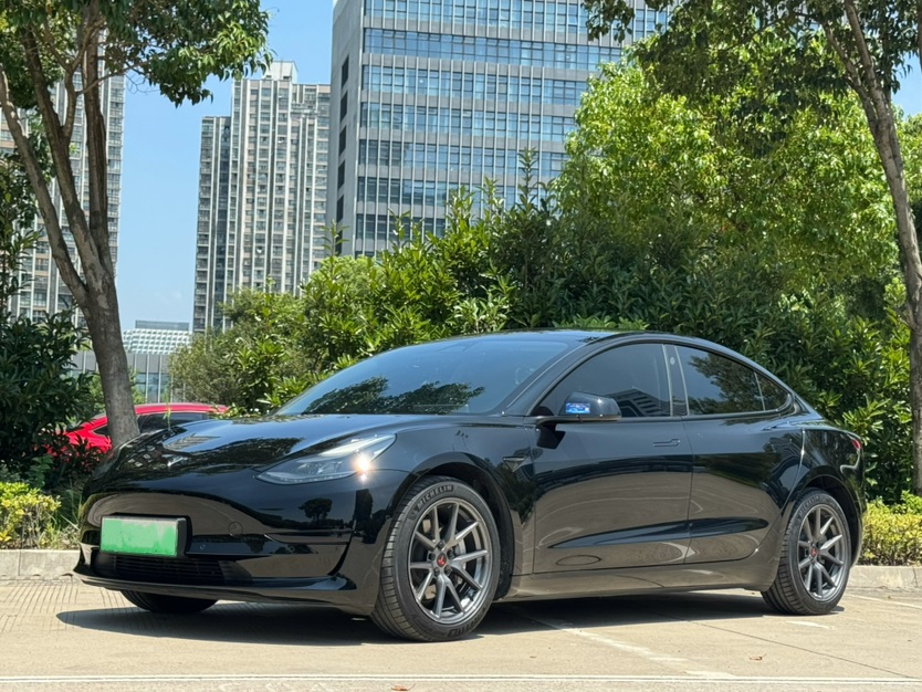 Tesla Model 3 2021 Tesla Model 3 2021 car image