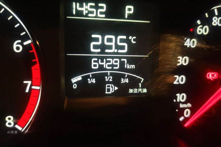 Volkswagen Polo 2019 car image #14