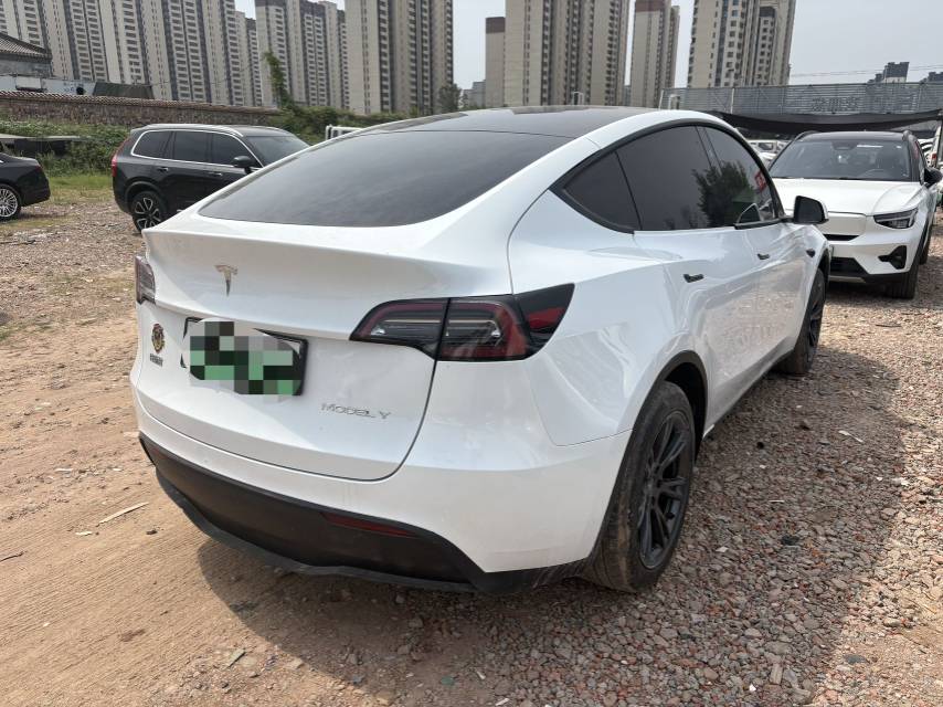 Tesla Model Y 2024 #7 Tesla Model Y 2024 car image #7