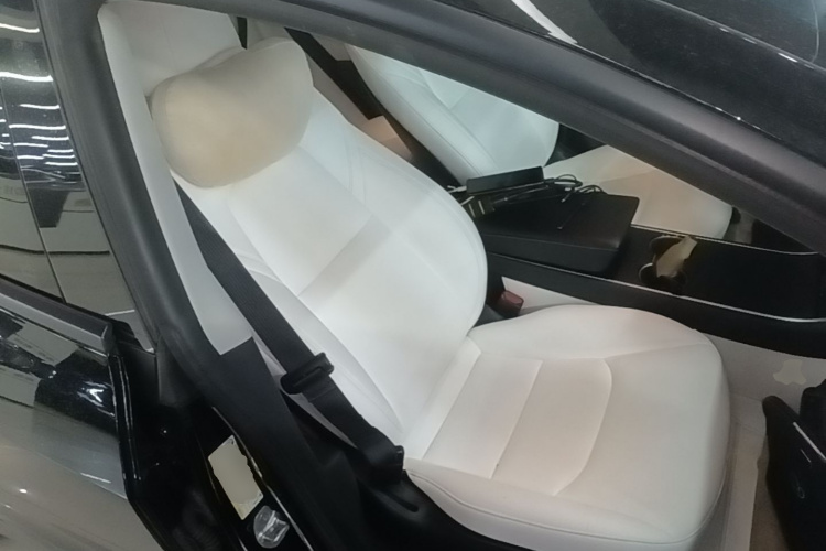 Tesla Model 3 2020 #24 Tesla Model 3 2020 car image #24