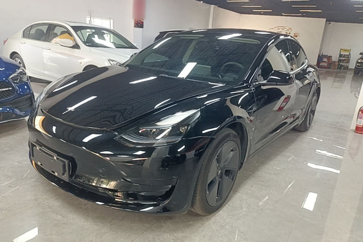 Tesla Model 3 2023 #2 Tesla Model 3 2023 car image #2