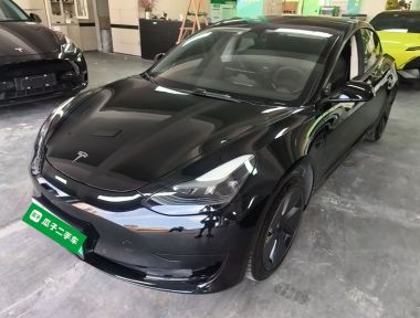 Tesla Model 3 2022 car image 