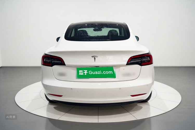 Tesla Model 3 2022 car image #6