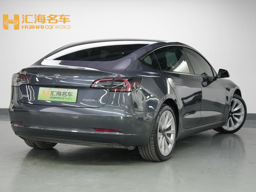 Tesla Model 3 2021 car image #6