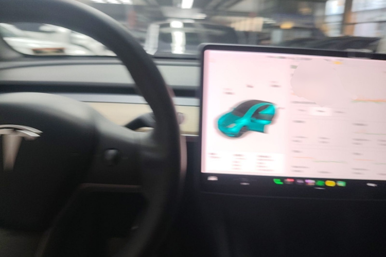 Tesla Model Y 2021 #10 Tesla Model Y 2021 car image #10