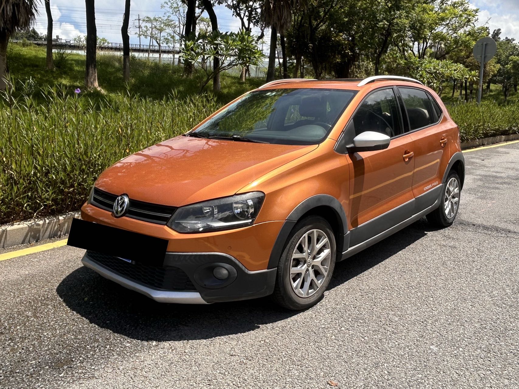 Volkswagen Polo 2014 car image 