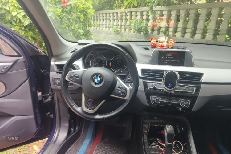 BMW X1 2017 car image #12