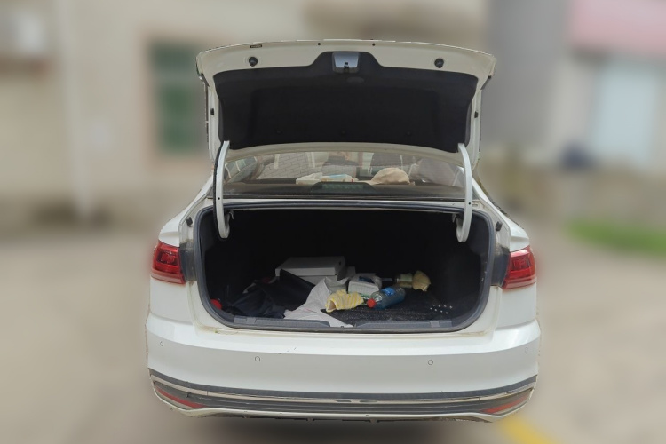 Volkswagen Bora 2023 car image #17