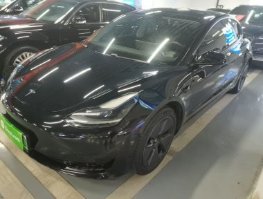 Tesla Model 3 2021 car image 