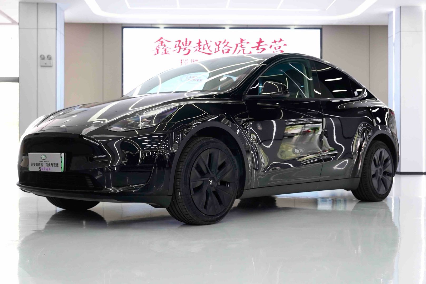 Tesla Model Y 2023 Tesla Model Y 2023 car image