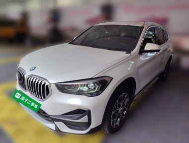 BMW X1 2019 car image 