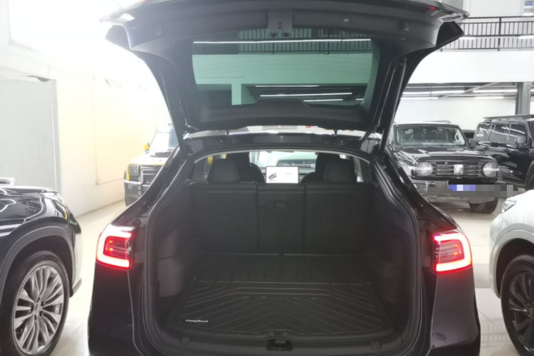 Tesla Model Y 2024 car image #19