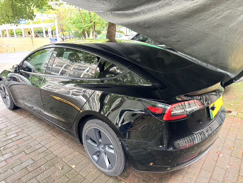 Tesla Model 3 2023 #7 Tesla Model 3 2023 car image #7