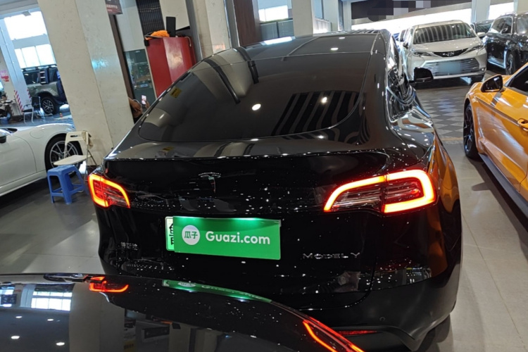 Tesla Model Y 2023 #6 Tesla Model Y 2023 car image #6