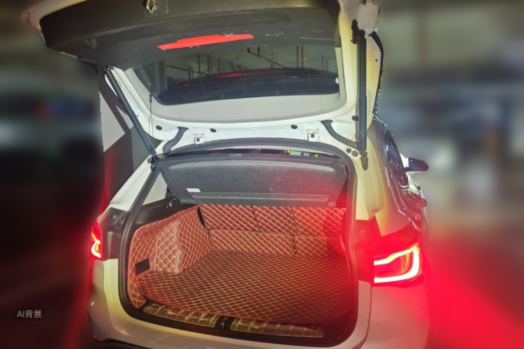 BMW X1 2016 car image #21