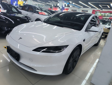 Tesla Model 3 2024 immagine di auto 