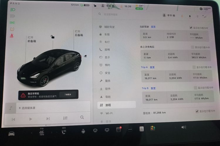 Tesla Model 3 2021 #12 Tesla Model 3 2021 car image #12