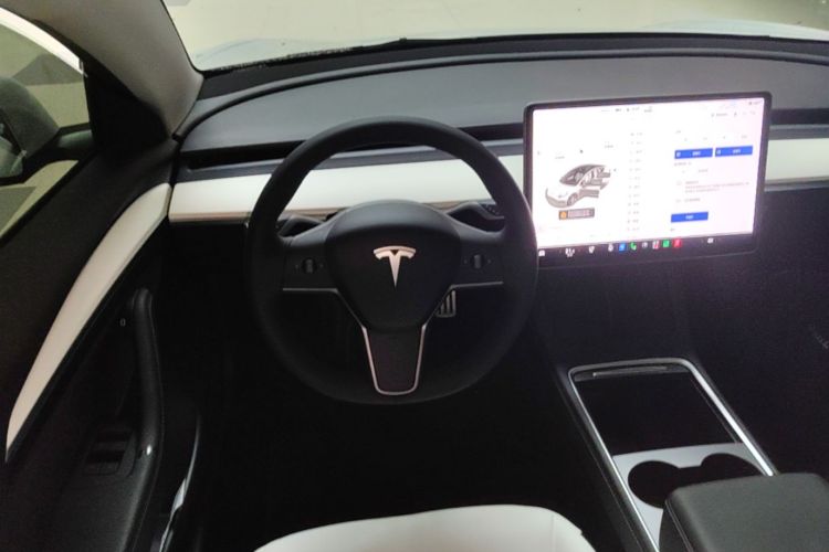 Tesla Model 3 2021 car image #15