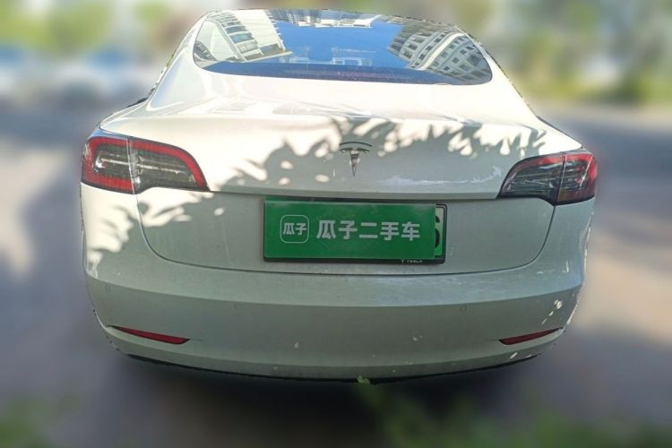 Tesla Model 3 2020 #3 Tesla Model 3 2020 car image #3