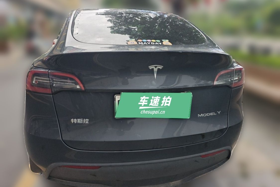 Tesla Model Y 2024 car image #6