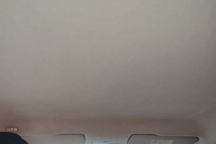 Volkswagen Santana 2018 car image #20