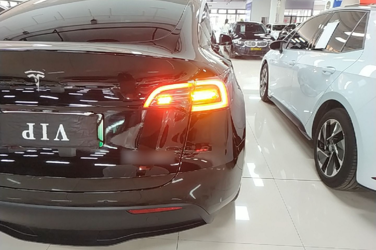 Tesla Model Y 2023 #8 Tesla Model Y 2023 car image #8
