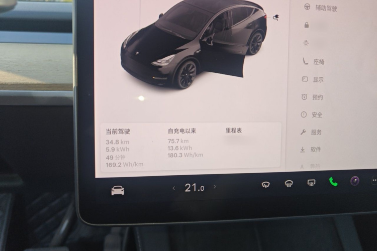 Tesla Model Y 2021 car image #16