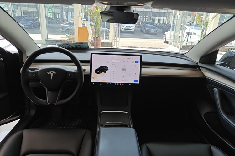 Tesla Model 3 2021 #10 Tesla Model 3 2021 car image #10