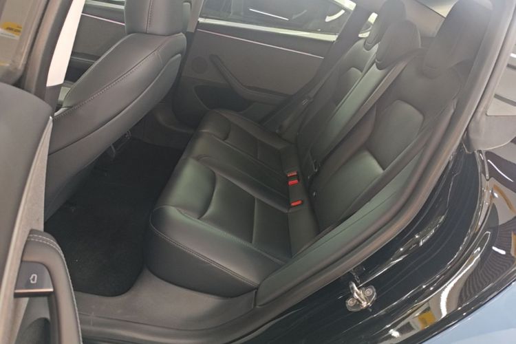 Tesla Model 3 2024 car image #17