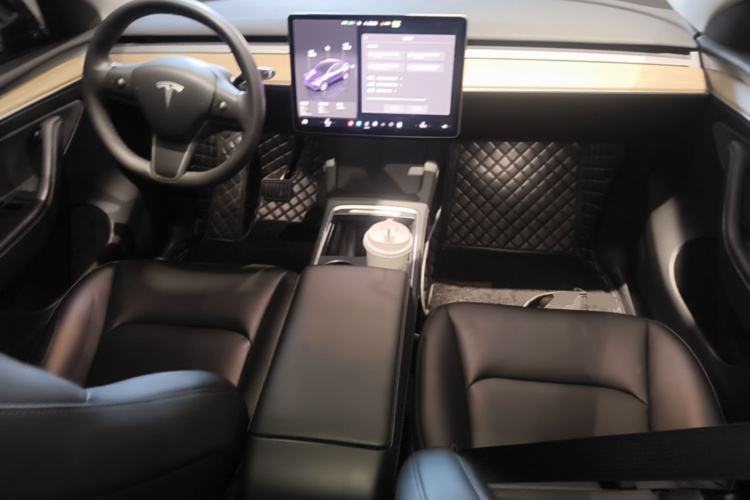 Tesla Model Y 2023 car image #10