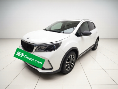 Livan X3 PRO 2023 car image 