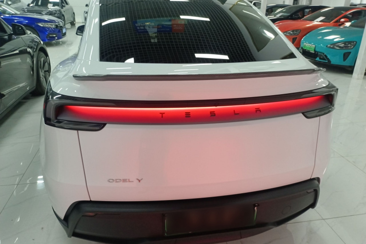 Tesla Model Y 2025 car image #6