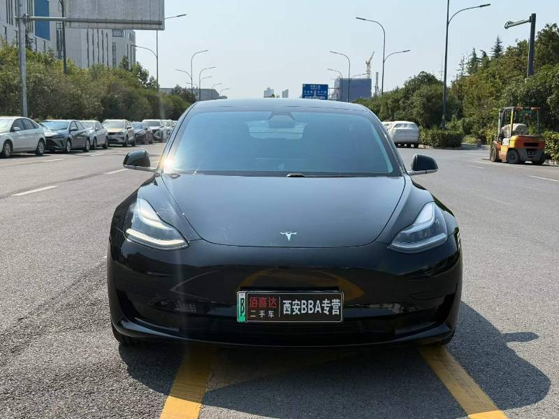 Tesla Model 3 2020 #2 Tesla Model 3 2020 car image #2