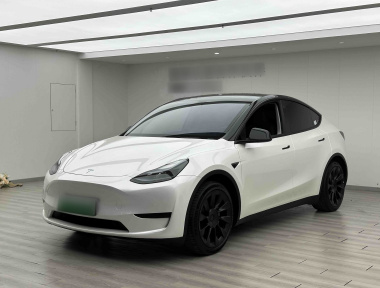 Tesla Model Y 2023 Tesla Model Y 2023 car image