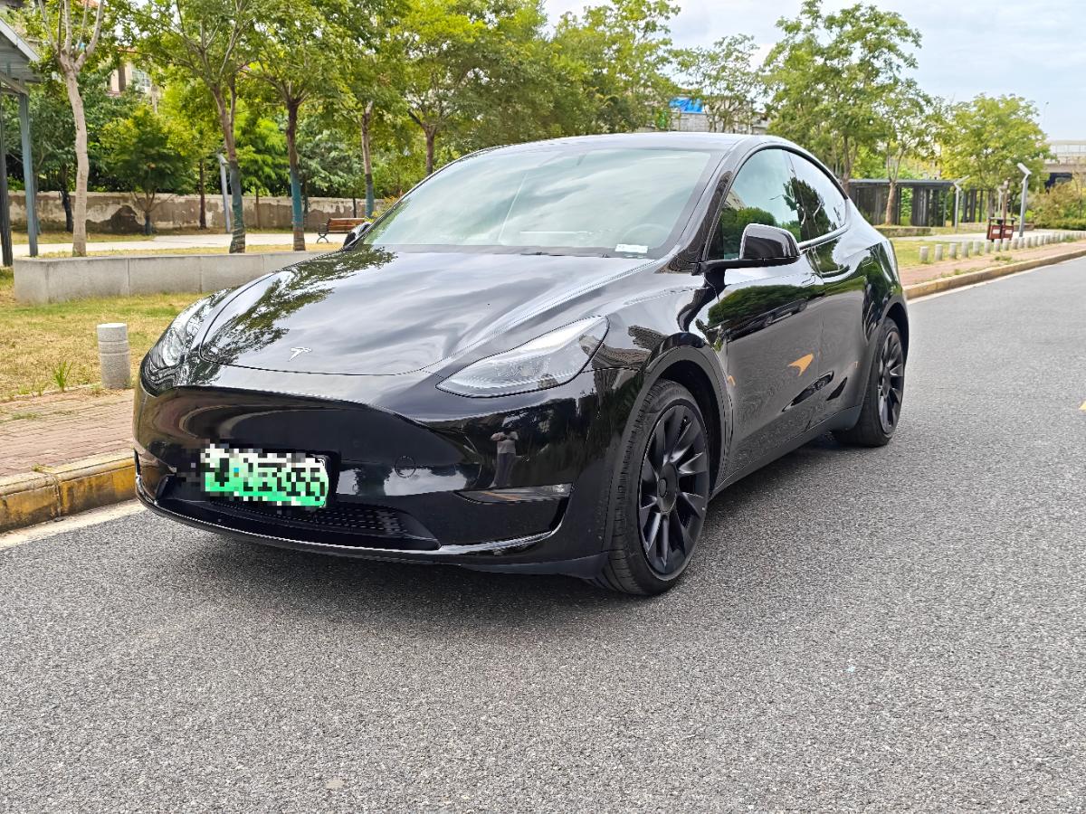 Tesla Model Y 2022 Tesla Model Y 2022 car image